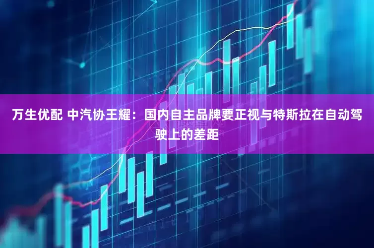 万生优配 中汽协王耀：国内自主品牌要正视与特斯拉在自动驾驶上的差距